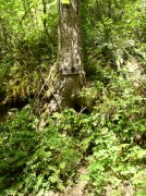 5.5.06 Eagle Creek 089 